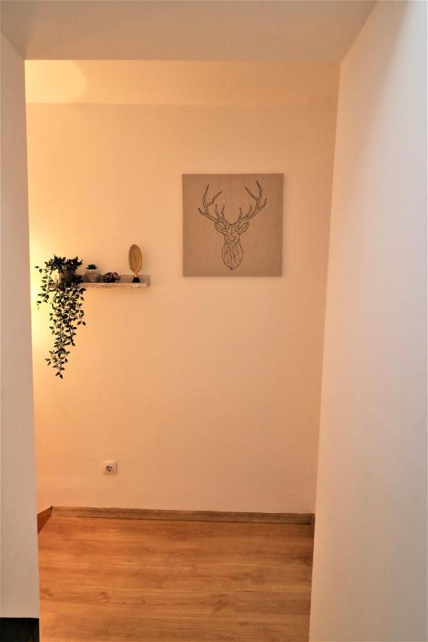 Cozy Old Town Apartment - Free Minibar Bucureşti Ngoại thất bức ảnh