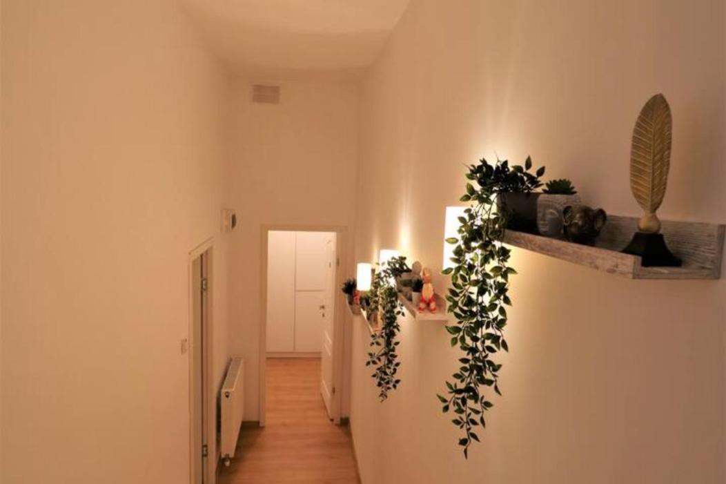 Cozy Old Town Apartment - Free Minibar Bucureşti Ngoại thất bức ảnh
